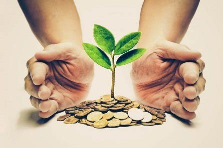 micro finance feed  million mouths international