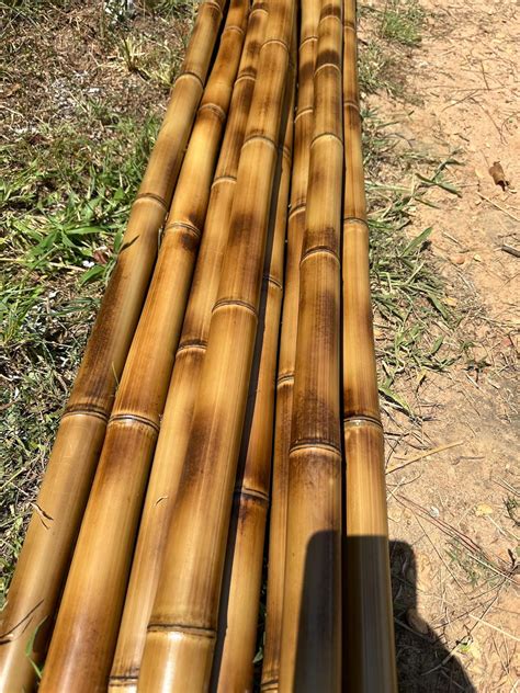 diameter flame cured bamboo poles  choose length cut  order