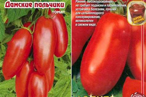 Томат Дамские пальчики: характеристика и описание сорта, фото, отзывы ...