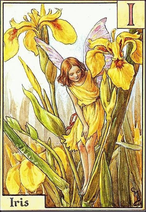 "Iris" художник: Сесиль Мэри Баркер, арт, фея, И́рис, или Каса́тик (лат ...