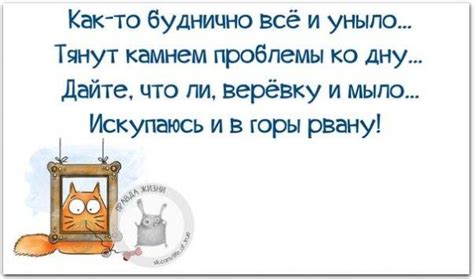 Приколи - картинки, відео приколи, смішні історії та анекдоти