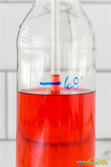 🌡 DIY Homemade Thermometer Science Experiment for Kids