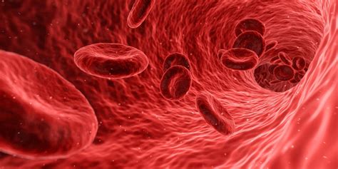 MCHC – średnie stężenie hemoglobiny w erytrocytach. O czym świadczy ...