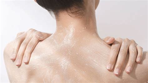 body scrubs  exfoliators     cnn underscored