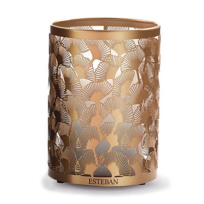 ESTEBAN PARIS PARFUMS LUMIERE – LIGHT & COPPER ULTRASCHALLDIFFUSER 100 ...
