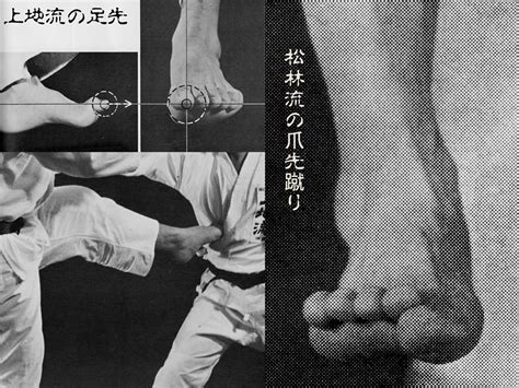 Isshin - Concentration the Art: It is Just a Front Kick