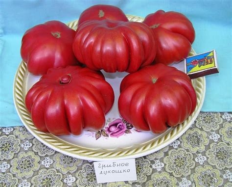 Томат Грибное лукошко: описание сорта, ОТЗЫВЫ (41), фото | tomatland.ru