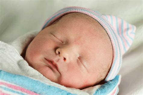 Newborn - Definition of Newborn