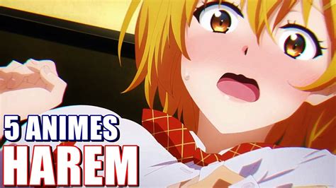 animes harem escolares ecchi romanticos  valen la pena ver