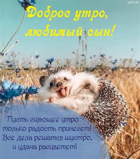 Красивые картинки - Доброе утро, сынок! (33 фото)