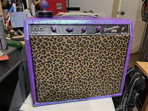 Fender Amplifiers | This should piss off some purists