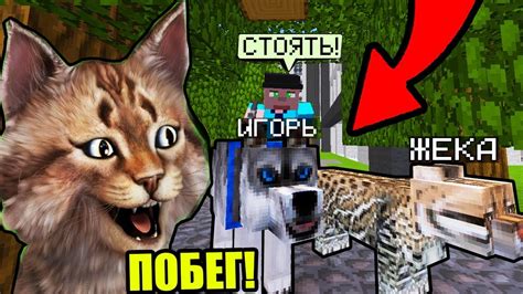 КОТ И ПЁС УСТРОИЛИ ПОБЕГ ИЗ ПРИЮТА ДЛЯ ЖИВОТНЫХ! ЖИЗНЬ ЖИВОТНЫХ В ...