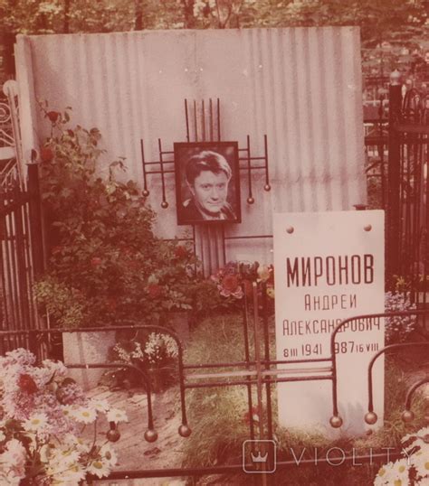 Могила Миронова Андрея Фото — Bluemorphotours.ru