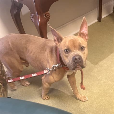 Tuscaloosa Memorial Park and Chapel | Tuscaloosa AL