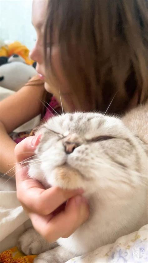 Лапочки | Animals, Cats