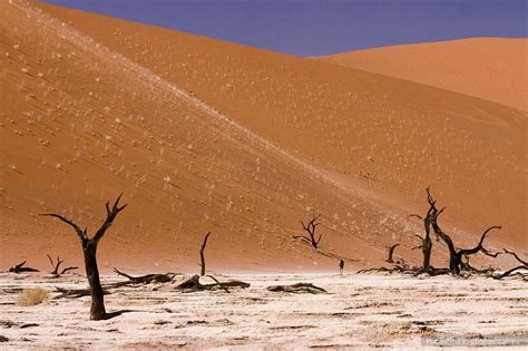 Мертвые деревья плато Соссусфлей | Beautiful places to visit, Namib ...