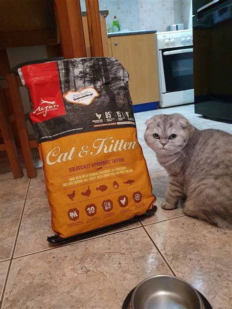 Orijen Cat & Kitten 5.4kg - Skroutz.gr