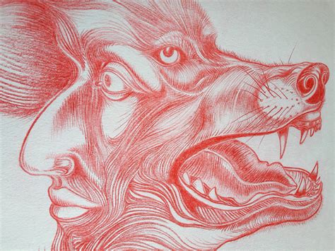 SnÅrl :: Behance
