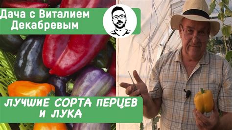 ЛУЧШИЕ СОРТА СЛАДКОГО ПЕРЦА И ЛУКА от Семко-Самара - YouTube