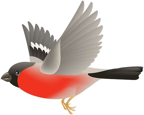 images  birds transparent background birds png clipart birds