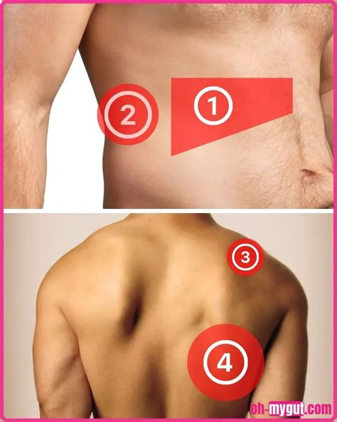 Where do you Feel Liver Pain? (Pain Location Diagram). - Oh My Gut