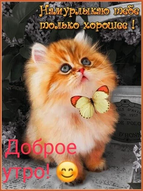 GIF "МОЯ ЛЮБИМАЯ ГРУППА!"С Днём Рождения — Фото | OK.RU | Доброе утро ...