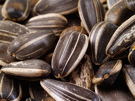 Handmade and Diario: the fun snack, Kuaci and its nutrition