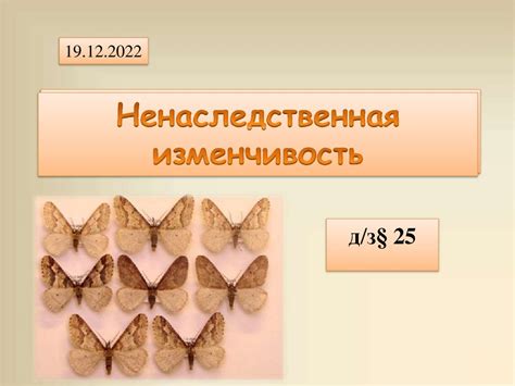 Изменчивость. Генотипическая изменчивость - презентация онлайн