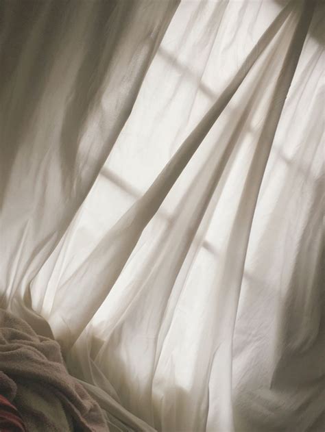 branco aesthetic aesthetic