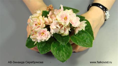 АВ-Зинаида Серебрякова - YouTube