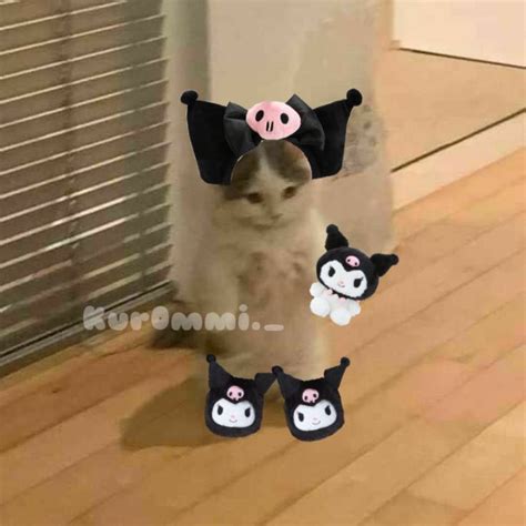 Kuromi É Que Animal