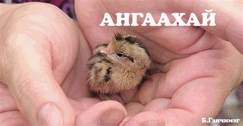 Хүүхдийн зохиолчид ба хүүхдийн зохиол бүтээлүүд | **Хүүхдийн зохиолч Б ...