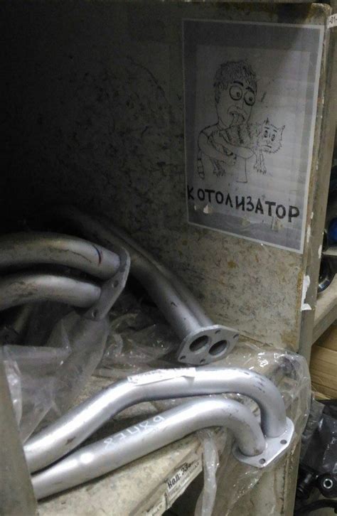 Катализатор или Котолизатор? » Развлекательный портал Sivator приколы ...