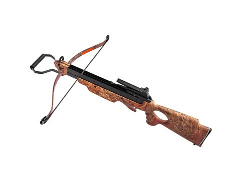 truth   dangers  crossbows  questions answered