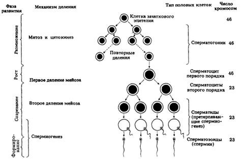 Биология