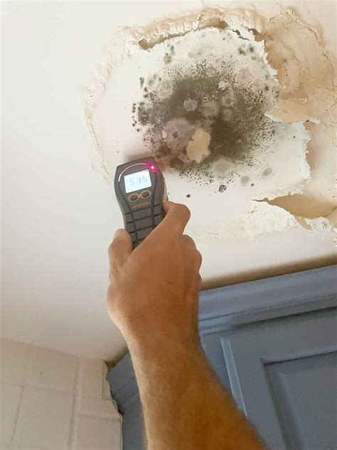 Biohazard Cleanup & Sanitization – EcoBak Restoration, LLC