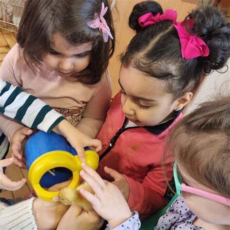 The Willow Tree Nursery | Outstanding Childcare in London