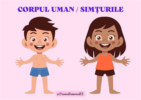 Păuna Ramona : CORPUL UMAN/SIMȚURI