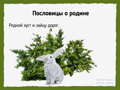 112 самых патриотичных пословиц о родине