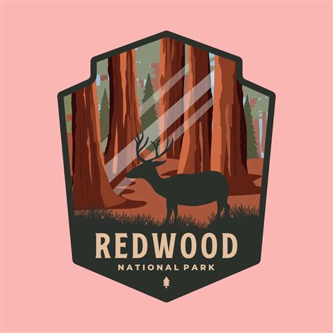 Closest Airport To Redwood National Park: Your Best Flight Options 18