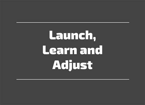 Launch, Learn and Adjust - McMahon Group