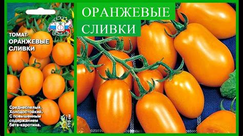 ШИКАРНЫЙ УРОЖАЙНЫЙ ТОМАТ! *ОРАНЖЕВАЯ СЛИВКА* - YouTube
