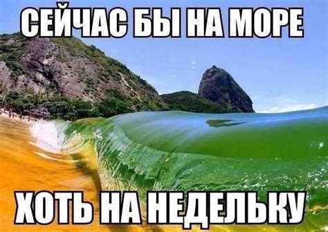 Солнечный гостевой дом Судак 2025 | ВКонтакте