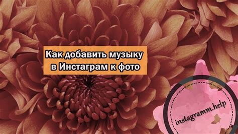 Как добавить музыку в Инстаграм к фото - YouTube