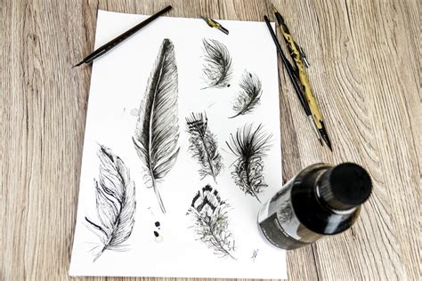 feathers   drawing workshops ellas place