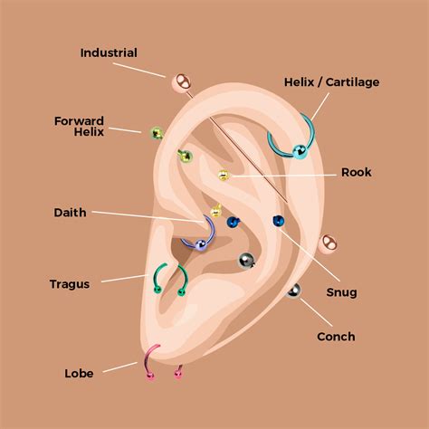 Body Piercing Guide: The Complete Guide to All Body Piercings