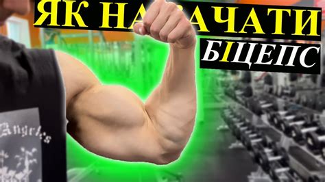 Як накачати біцепс? Тренування в залі - YouTube