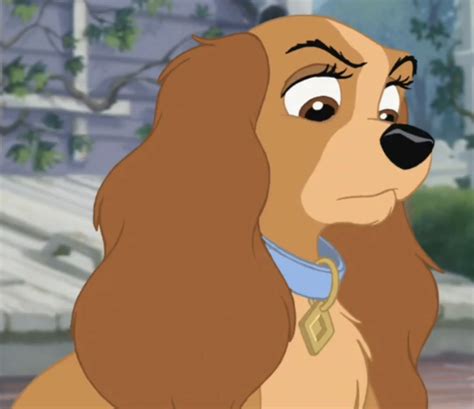 The Regular-Cocker-Spaniel Lady | The Shared-Combined Crossovers for An ...