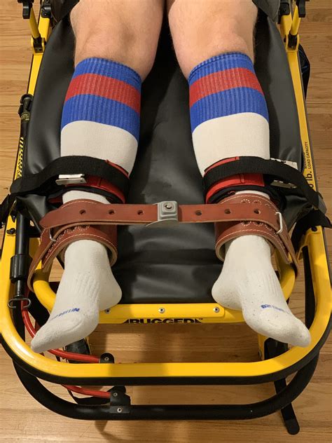 Polar Dog on Twitter: "Finally home from #Chicago and ready to process