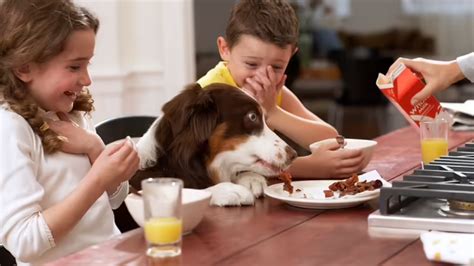 dog viralarticle